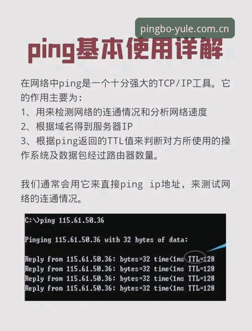 平博PINPO平台 平博PINPO平台全面解析:从下载到数据更新的深度指南